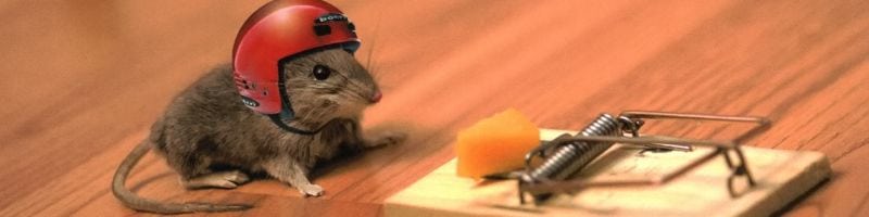 Журнал дератизации Звенигород